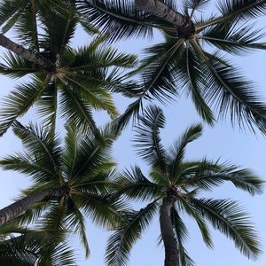 Meet your Posher, Maren